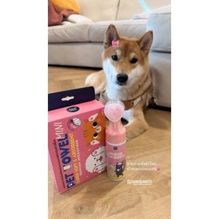 พอว์พอว์ โฟมอาบแห้งสัตว์เลี้ยง PAWxPAW Waterless Foam Shampoo