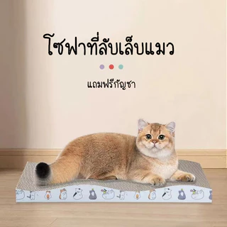 KTCAT ที่ลับเล็บแมว กระดานฝนเล็บแมว ของเล่นแมว ทำจากกระดาษลูกฟูก แข็งแรง ทนทาน ใช้งานได้ยาวนาน
