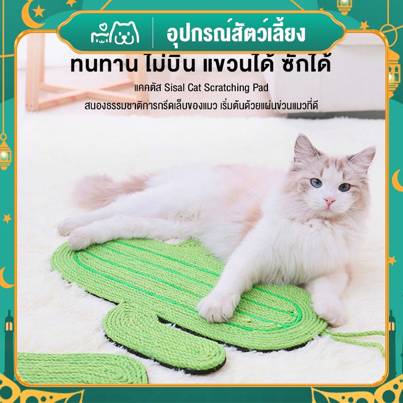 😺Hipetime offical shop😺 แผ่นลับเล็บแมว ที่ลับเล็บแมว กันข่วน ลับเล็บแมว ของเล่นแมว ที่นอนแมว Natural Cat Scratcher Mat