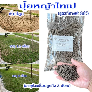 ปุ๋ยหญ้าไทเป สูตรฟาร์มใช้เอง 950 กรัม