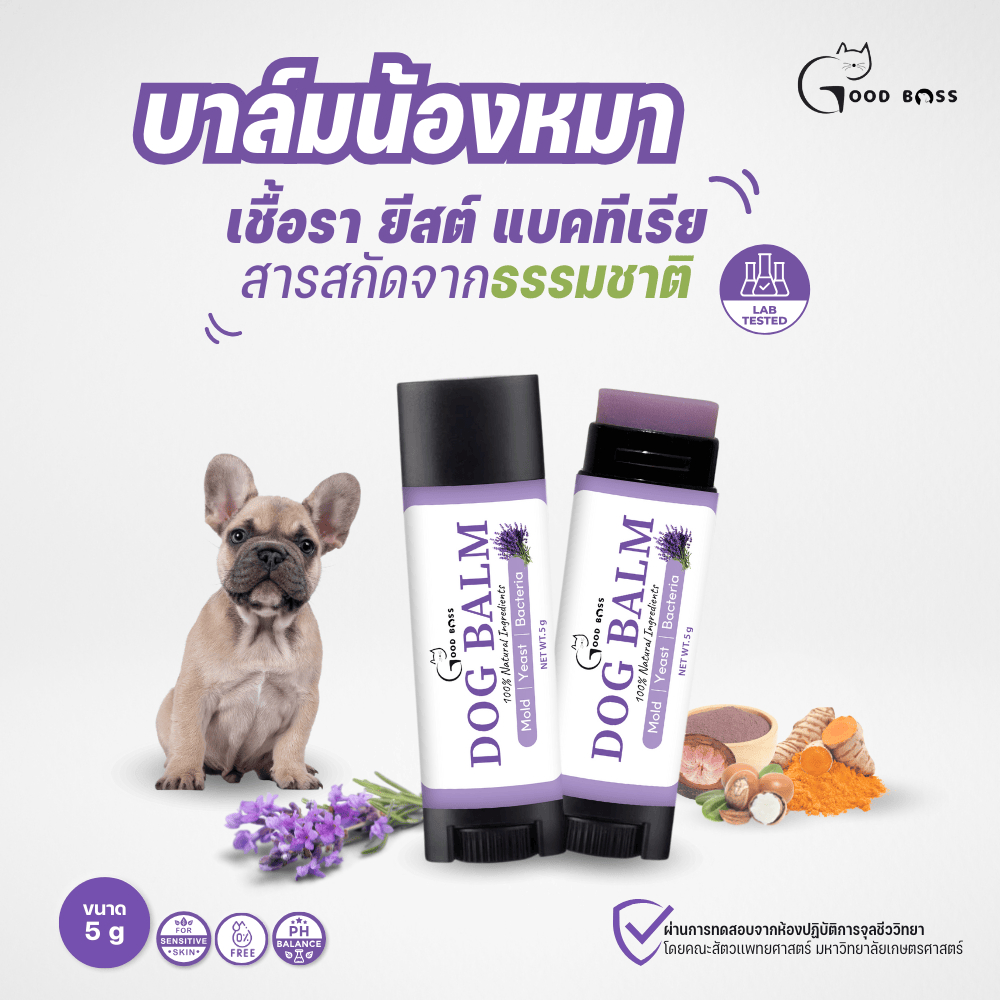 รูปภาพ 2