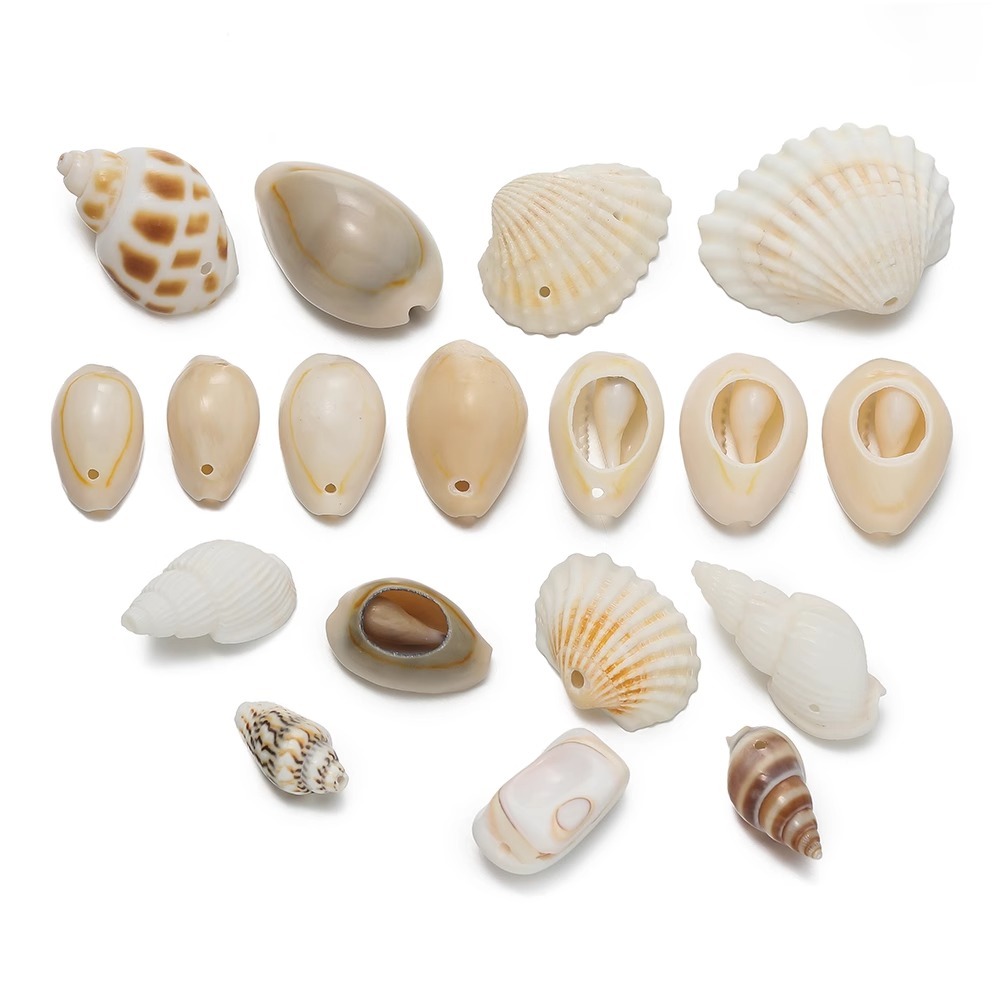 Natural shell gold border shell conch east wind conch with hole beads Handmade diy bracelet material