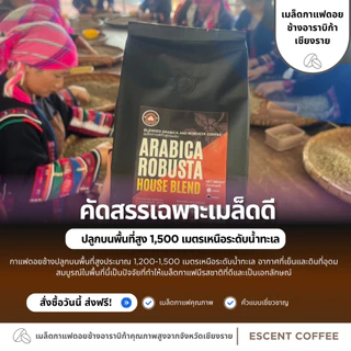 DB 250 g. Arabica Robusta Blend เมล็ดกาแฟสูตรผสมอาราบิก้าโรบัสต้า-คั่วเข้ม สูตร DB 250 กรัม