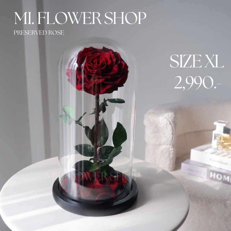 กุหลาบอมตะในโหลแก้ว 🌹 ไซส์ XL หลากสี ไอเดียของขวัญ วันวาเลนไทน์ - รูปที่ 5