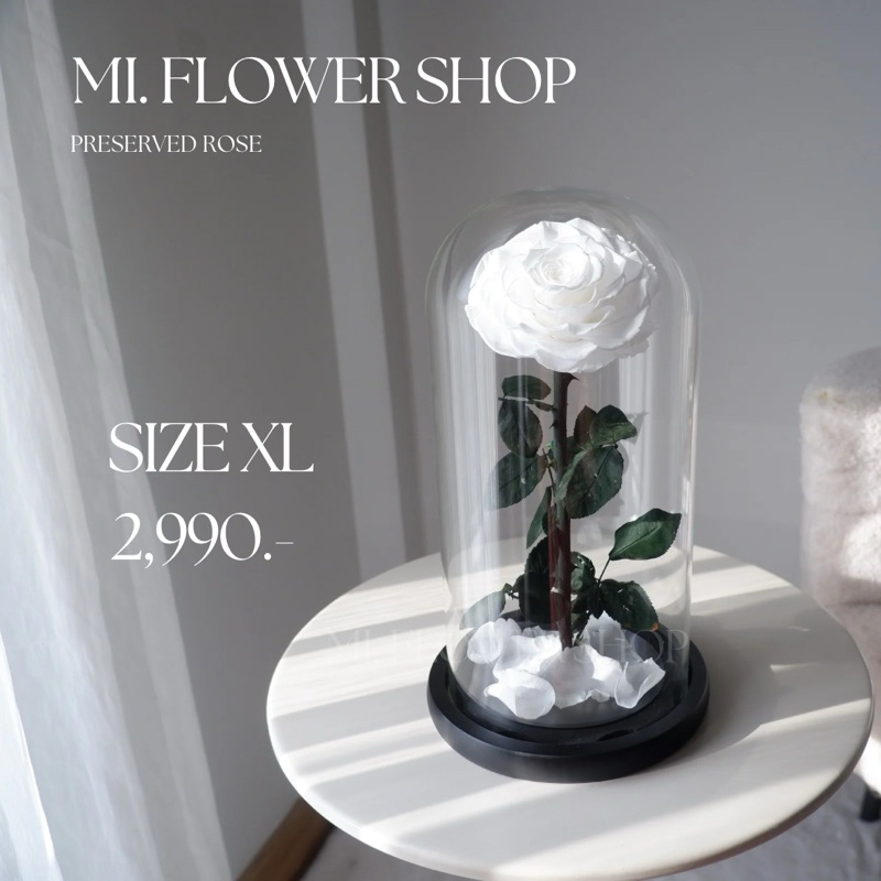 กุหลาบอมตะในโหลแก้ว 🌹 ไซส์ XL หลากสี ไอเดียของขวัญ วันวาเลนไทน์ - รูปที่ 4