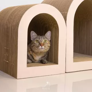mini.c (มินิซี) ที่ลับเล็บแมว รุ่น ARC Petal (ARC Petal cat scratcher)