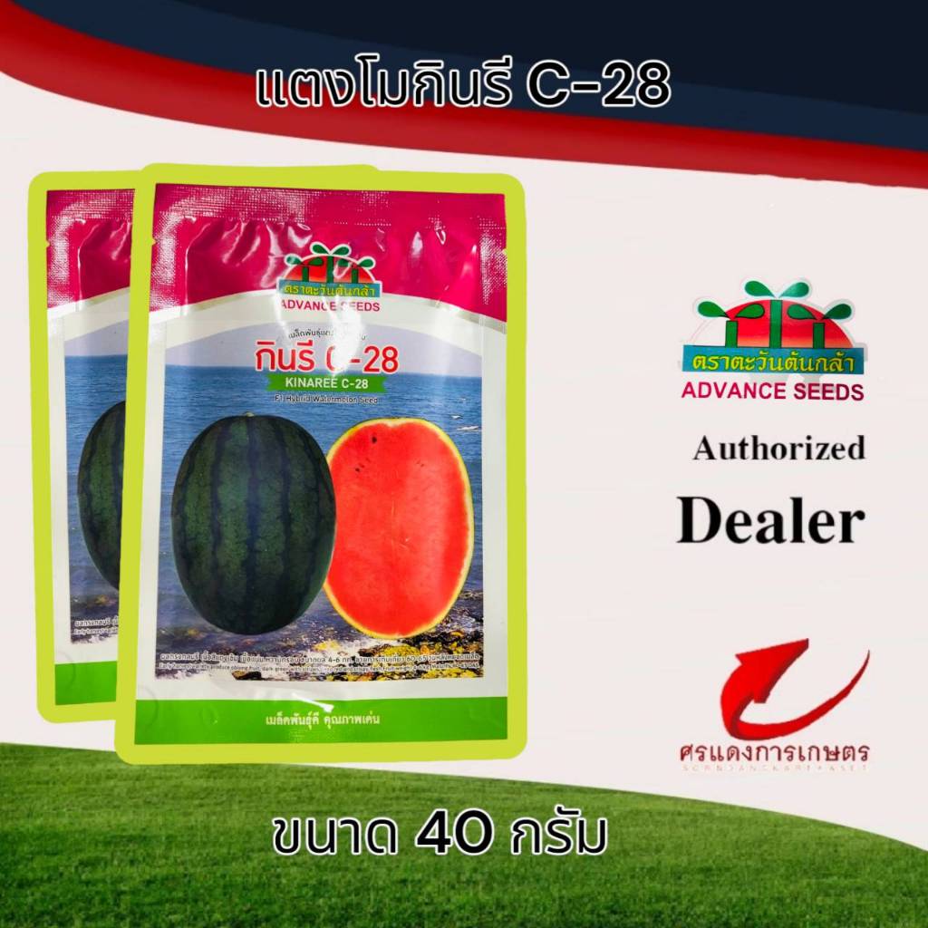 เมล็ดพันธุ์ แตงโมกินรี C-28 ขนาดบรรจุ 40 กรัม