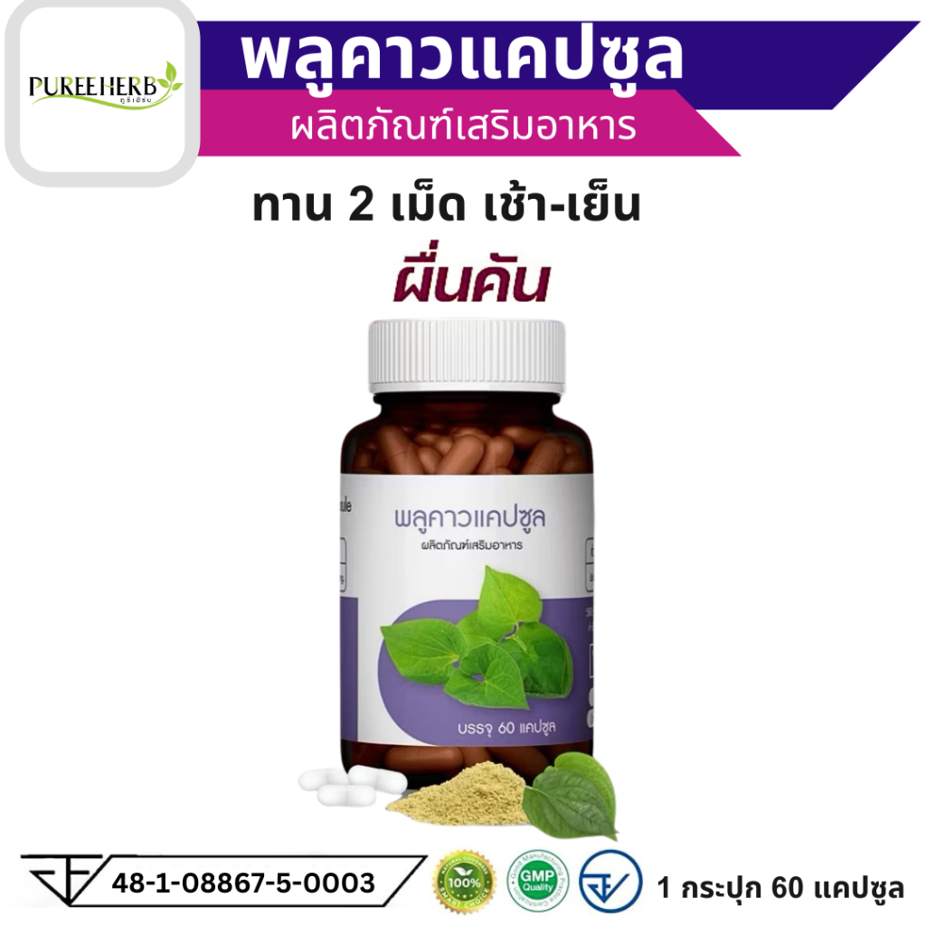 พลูคาว แคปซูล Puree Herb ภูรีเฮิร์บ  อาหารเสริม 1 ขวด 60 แคปซูล ผิวหนัง ผด ผื่น คัน