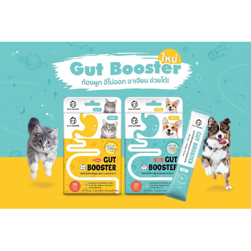 Gut Booster ผลิตภัณฑ์อาหารเสริมโพรไบโอติกคุณภาพสูงจาก Sun Wonder