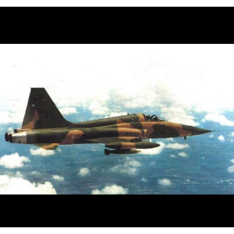 โมเดล เครื่องบินจำลอง เครื่องบินรบ ขับไล่ F-5A ฝูง 231 Hunter ลายพราง ขนาด 1/144 ของ ทอ.ไทย
