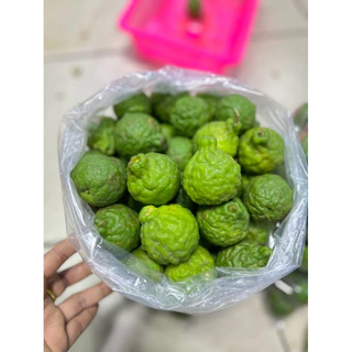 ลูกมะกรูด 1กก. สด,ใหม่จากต้น💯🌱