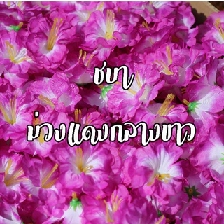 ดอกชบา หัวดอกชบา ดอกชบาประดิษฐ์ ดอกชบาแห้ง ถุงละ500ดอก