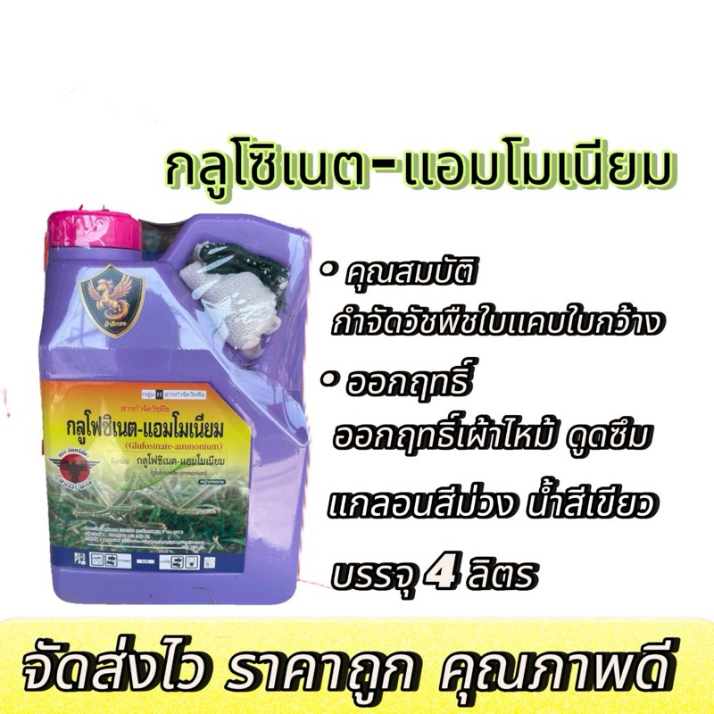 กลูโฟซิเนต-แอมโมเนียม(ตราม้าสีทอง) ขนาด 4 ลิตร แกลลอนม่วง(น้ำสีเขียว) แถมฟรีถุงมือ 1 คู่ ออกฤทธิ์เผาไหม้และดูดซึม