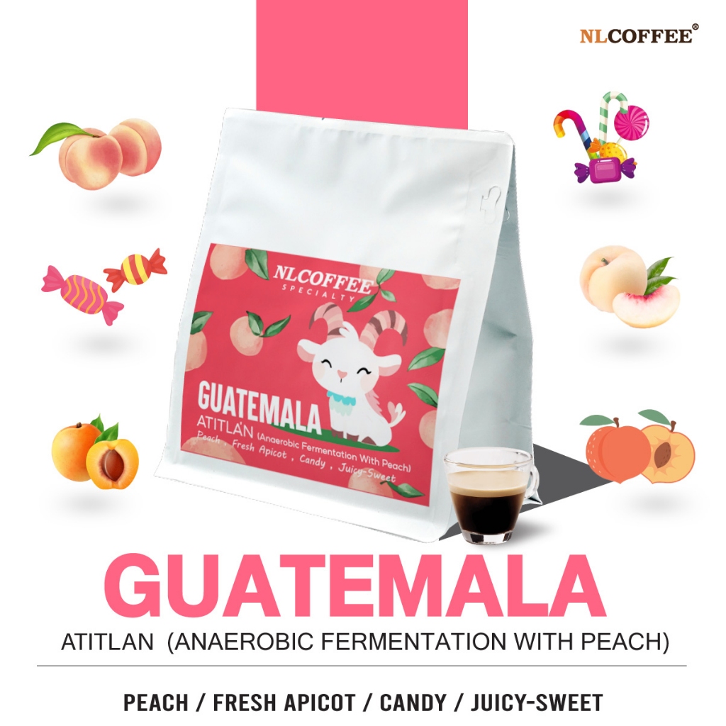 NLCOFFEE กาแฟ Guatemala : Atitlan (Anerobic fermentation with Peach)