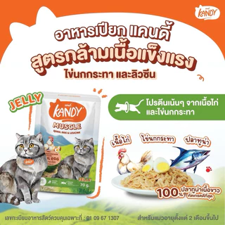 Kandy อาหารเปียก Holistic Grain Free ทูน่าเนื้อขาว ไม่เติมเกลือ สูตรดูแลสุขภาพ ยกโหล 70g*12ซอง