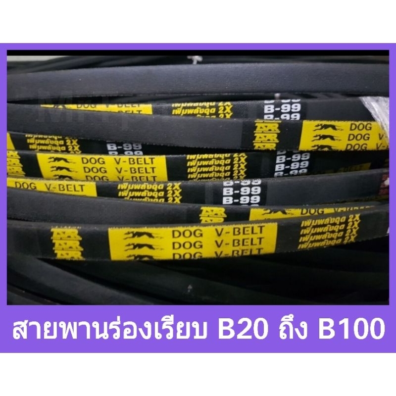 สายพานร่องบี ร่องเรียบ B20 ถึง B100 สายพานรถไถ เกษตร สายพานสูบน้ำ ตราหมา ตราดอกจิก (ราคาต่อเส้น)