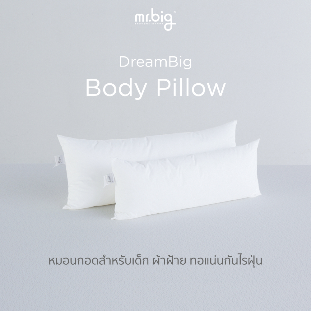 mr.big DreamBig Body Pillow หมอนกอด พร้อมปลอก