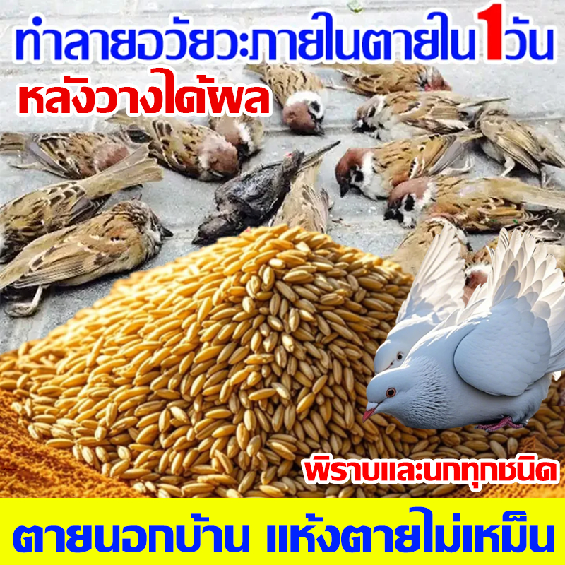 🐤100% ได้ผล🐤ยาเบื่อ นกพิราบ ยากำจัดนกพิราบ ยาเบื่อนก ไล่นก ก้อนไล่นก กำจัดนก เหยื่อกำจัดนกพิราบ เบื่อนกพิราบ ยาฆ่านกพิรา