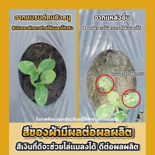 พลาสติกคลุมดิน 0.8ม.x400หลา(360ม) เจาะรูเดี่ยว 1แถว ผ้ายางคลุมดิน ผ้ายางคลุมวัชพืช ผ้ายางคลุมแปลงผัก