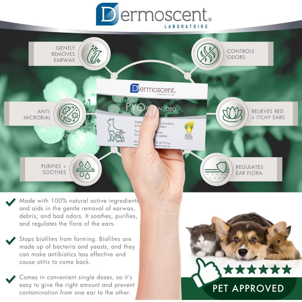 Dermoscent [แท้💯] PYOclean OTO ผลิตภัณฑ์ดูแลช่องหู หูอักเสบ ติดเชื้อ สำหรับสุนัข แมว และกระต่าย 🇫🇷