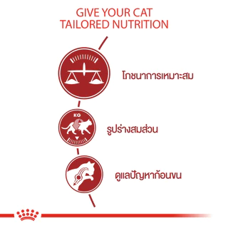 [กระสอบ] Royal Canin Fit 32 รอยัลคานิน ฟิต 32 อาหารแมว แมวโต หุ่นดี บำรุงขน 1 ปีขึ้นไป ขนาด 10 กิโลกรัม