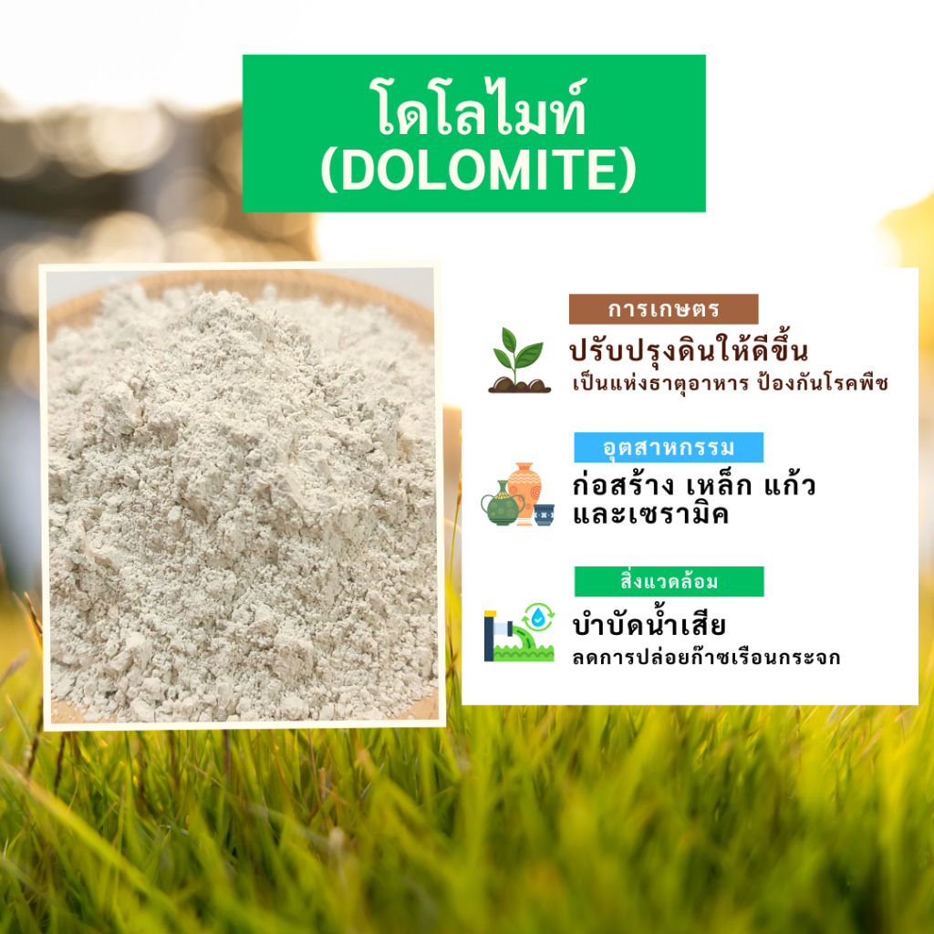 โดโลไมท์ 100 Mesh ควบคุม pH ให้คงที่ เพิ่มธาตุอาหารให้ดิน ปรับสภาพดิน ลดความเป็นกรด กระตุ้นจุลินทรีย์ในดิน บรรจุ 25 Kg