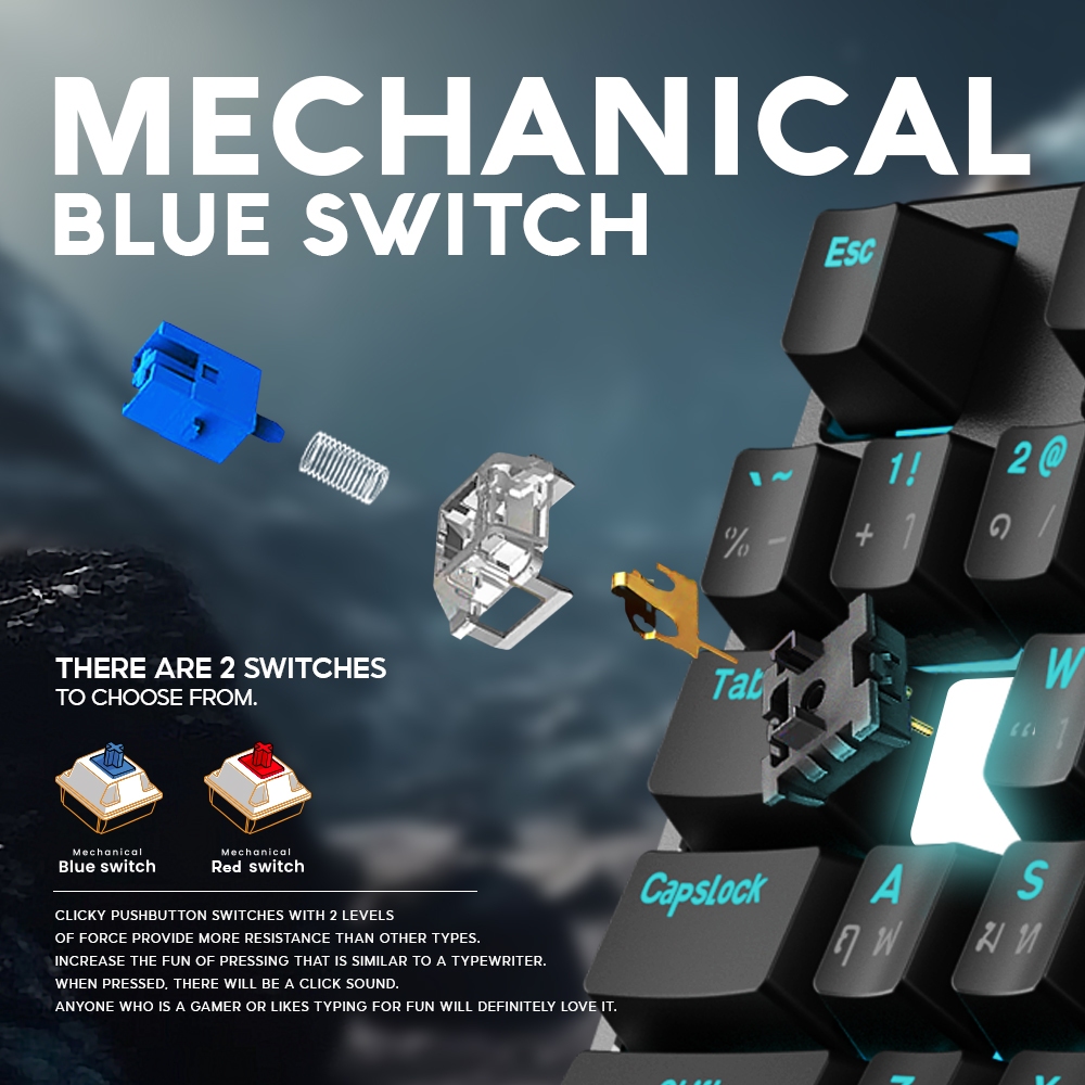 รูปภาพ 7