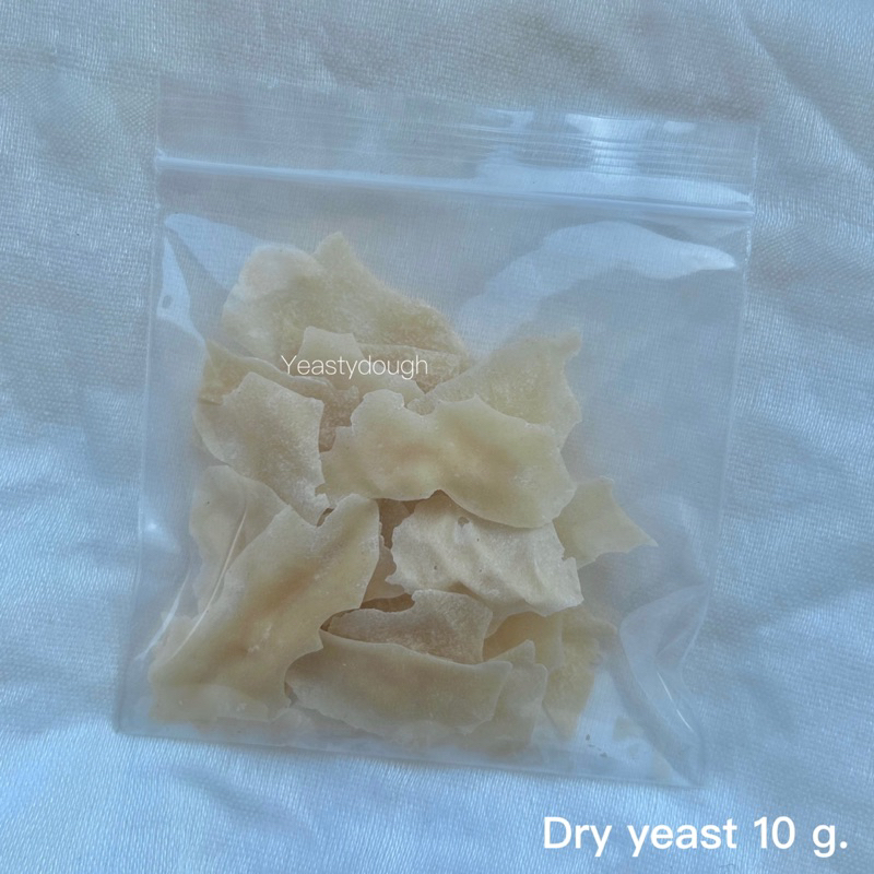 Dry yeast หัวเชื้อยีตส์จากธรรมชาติ ยีตส์แห้งสำหรับนำไปทำขนมปัง Sourdough 🥖