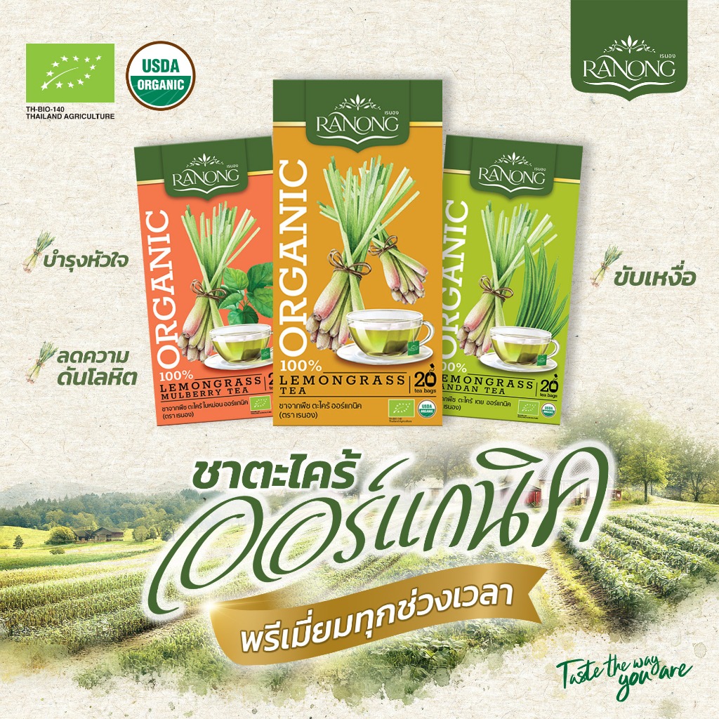 Ranong Tea เรนองที 🌱 ชาสมุนไพร ชาตะไคร้ ออร์แกนิค [20 ซอง 20g] ชาตะไคร้ ใบหม่อน ใบเตย ชาใบเตย