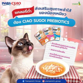 Ciao Sugoi Prebiotics Cat Pouch, Cat Soup ❤️😺 เชา สุโก้ย เพาซ์, ซุป พลัสพรีไบโอติกซ์สำหรับแมวบรรจุ 40g