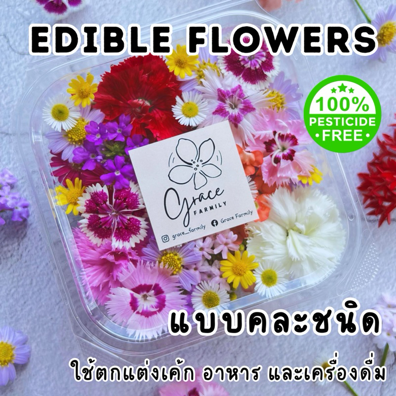 ดอกไม้กินได้ สด ปลอดสาร แบบคละชนิด Edible Flower พร้อมใช้ แต่งเค้ก แต่งเครื่องดื่ม