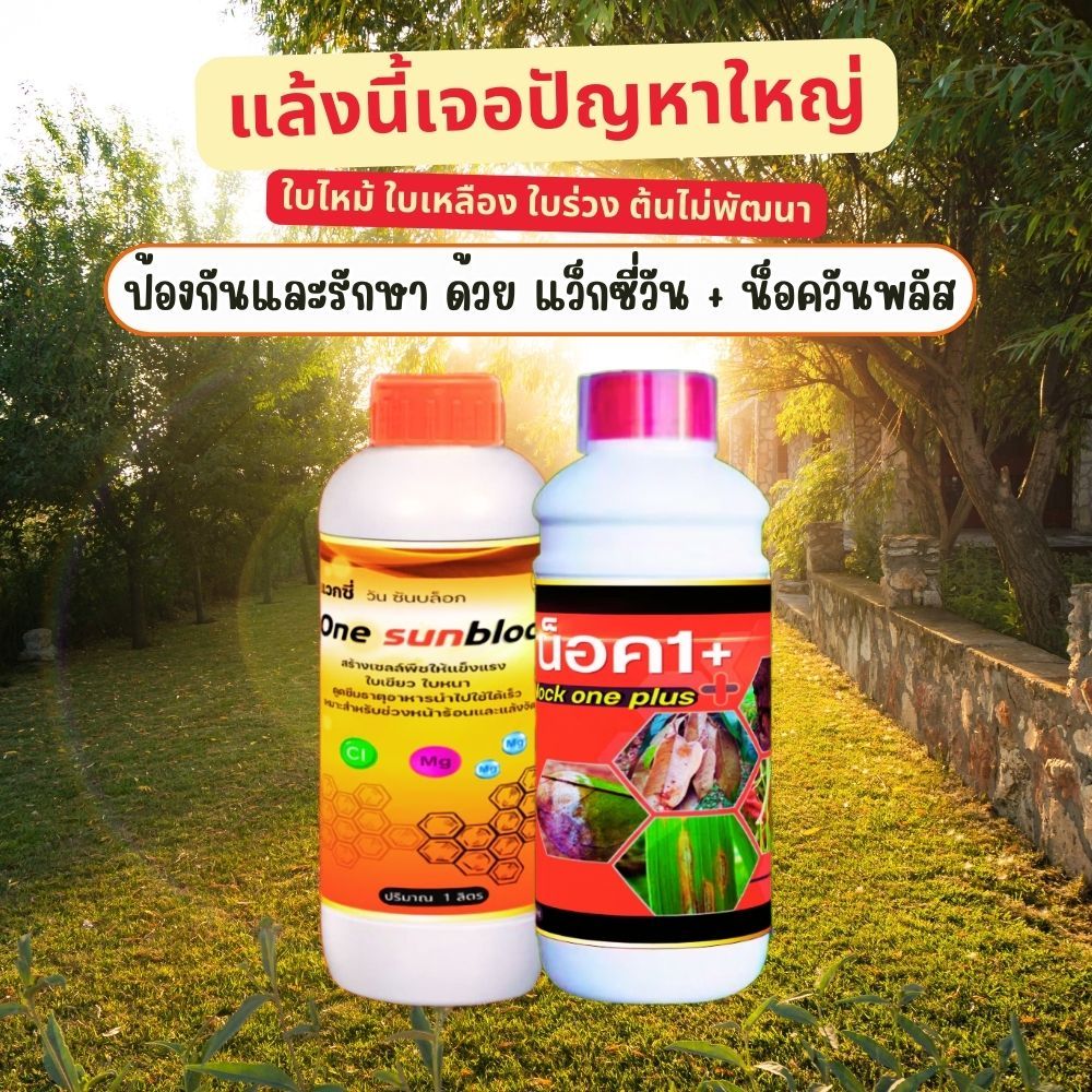 น็อควันพลัส + แว็กซี่วัน สูตรรักษาและป้องกันซันเบิร์น ใบไหม้ ใบเหลือง ใบแห้ง เชื้อราพืช