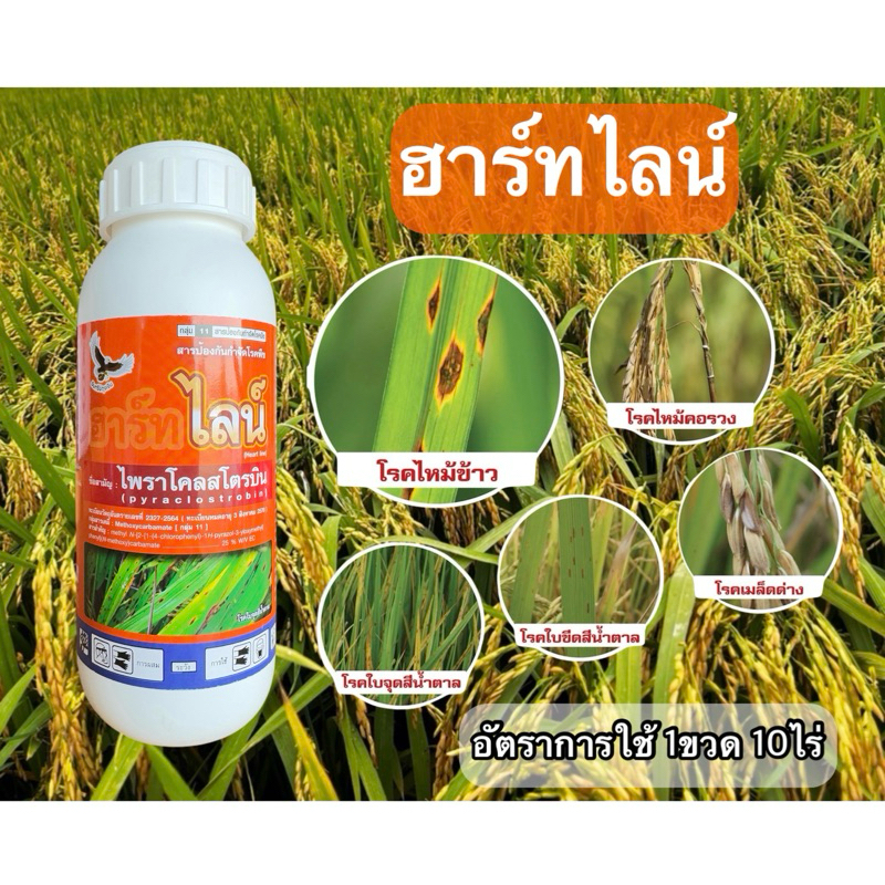 ฮาร์ทไลน์ ไพราโคสโตรบิน สารกำจัดเชื้อรา กำจัดโรคใบไหม้ ใบจุด ใบขีด ไฟท๊อป