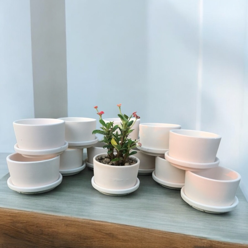 กระถางดินเผาบอนไซทรงเตี้ย  3 นิ้ว  12 ชุด