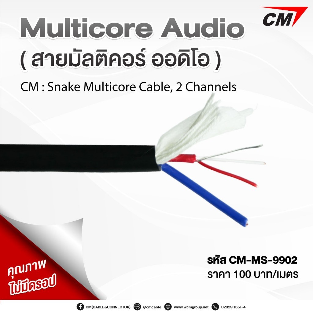 Snake Multicore Cable, 2 Channel (60-100เมตร)