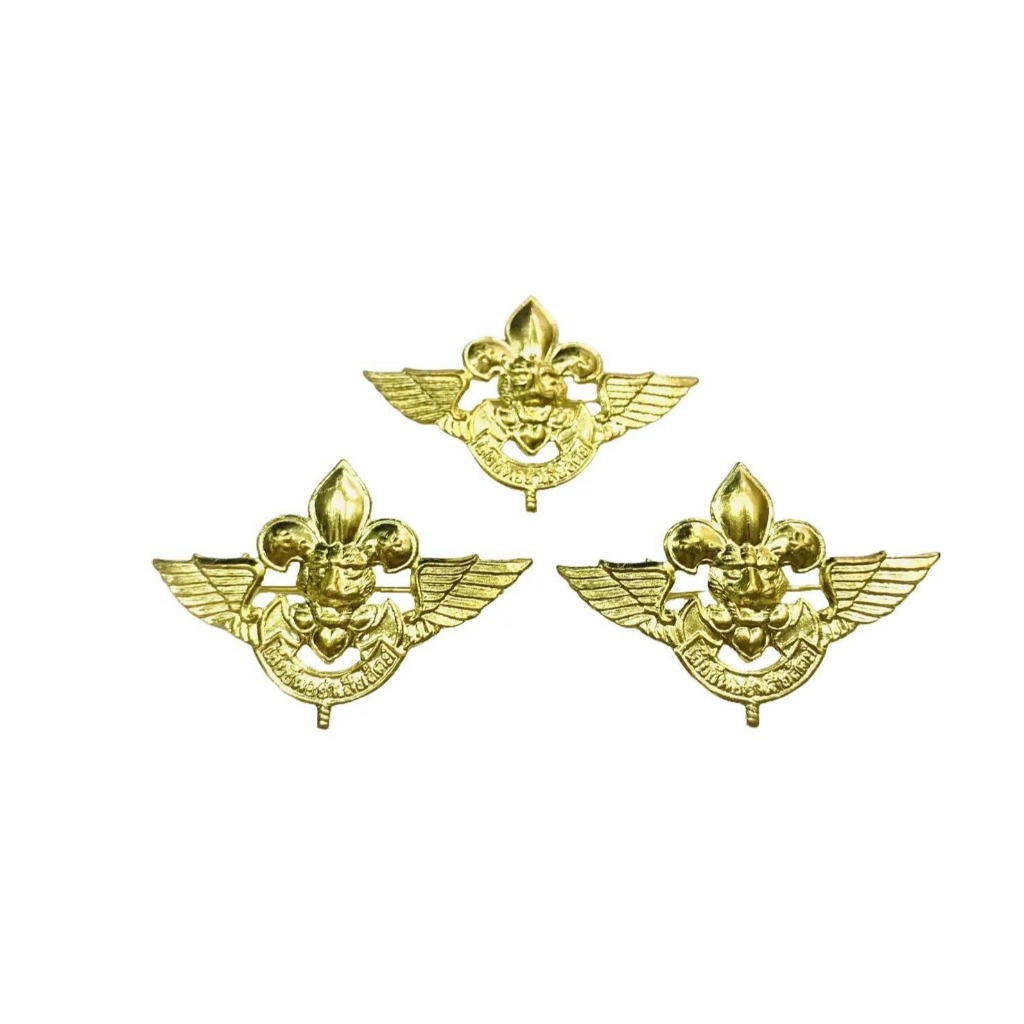 เข็มติดหมวกลูกเสืออากาศ สีทอง เข็มติดหมวก เข็มติดอก ลูกเสือเนตรนารีอากาศ สินค้าคุณภาพดี