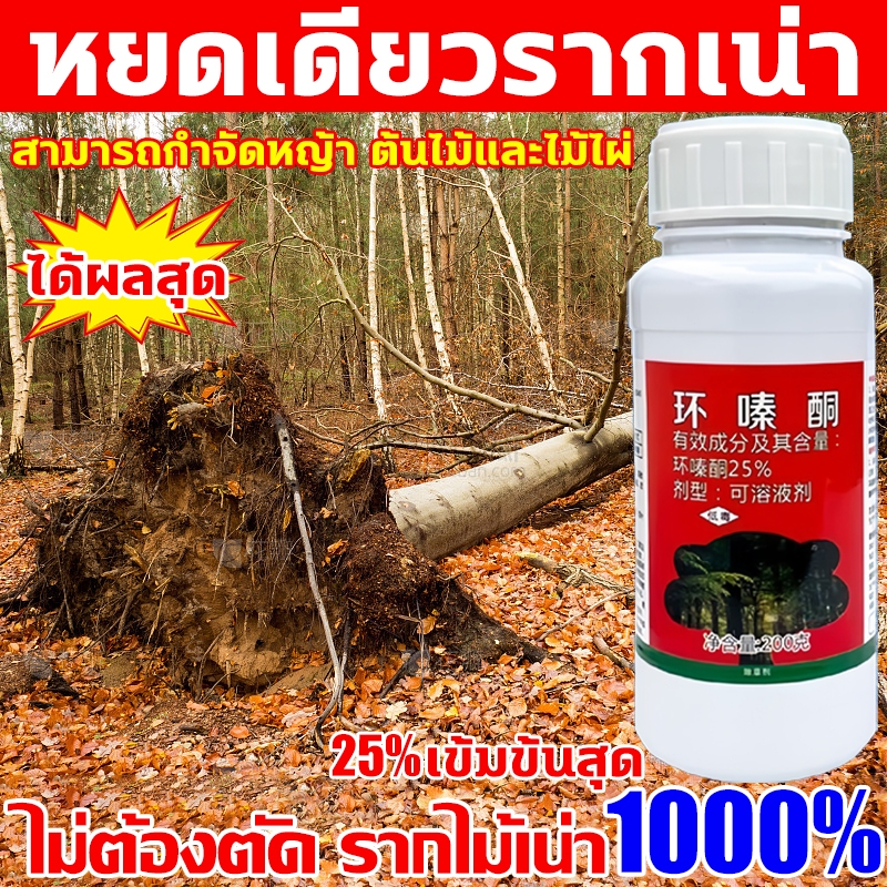 หยดเดียวรากเน่า ยาฆ่าต้นไม้ใหญ่ ไม่ต้องตัด รากไม้เน่า1000% ยาฆ่าต้นไม้ 25%เข้มข้นสุด สารกําจัดกอไผ่ ยาฆ่ากอไผ่ ยาฆ่าหญ้า