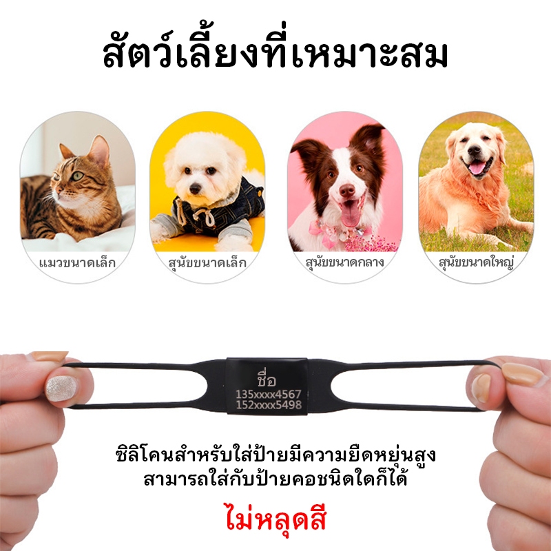 รูปภาพ 5