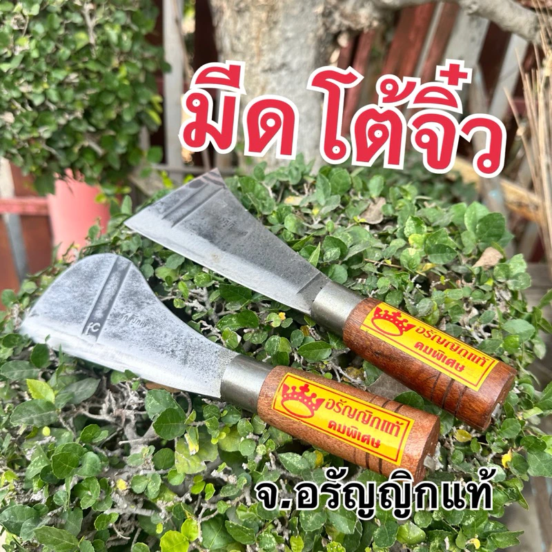 หัวโต้เล็กจิ๋ว มีดโต้ทุเรียน มีดโต้เฉาะฝรั่ง ด้ามไม้กลึง มีดอรัญญิก จ้อย อรัญญิกแท้ คละหัวมีรูไม่มีรู