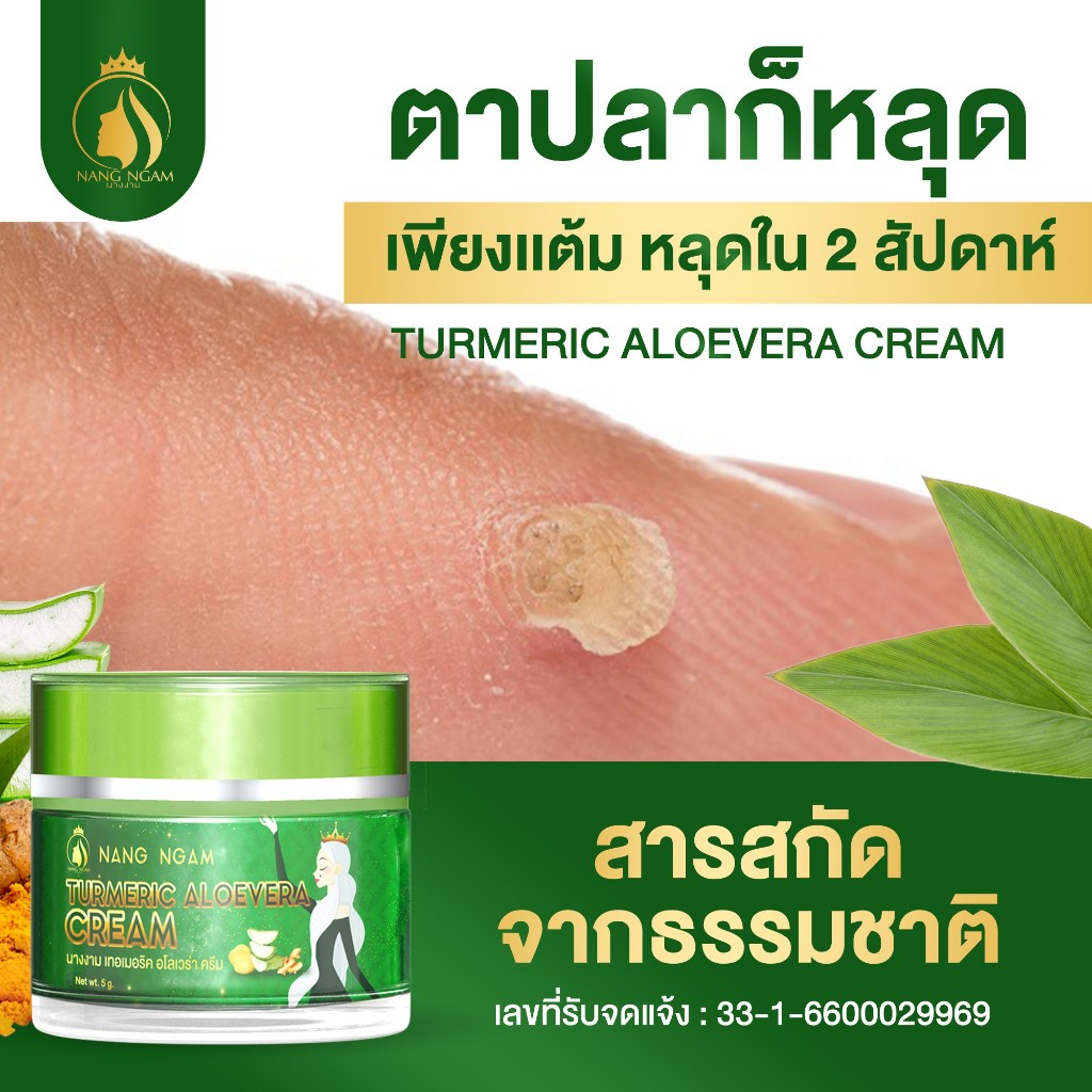 [ของแท้] ครีมไฝนางงาม ขี้แมลงวัน ติ่งเนื้อ หูด ตาปลา แก้ปัญหา กระ สิวหิน ครีมแต้มไฝนางงาม ไฝ หูด จี้ไฝ แต้มไฝ