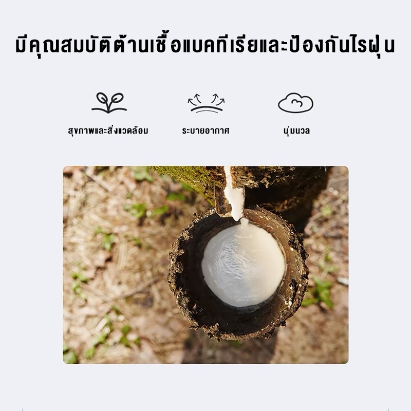 ที่นอน ที่นอนยางพารา