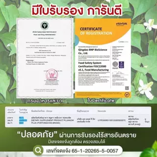 (1 กระปุก) พลูคาว Plukaow Plus พลูคาวพลัส พ่อทองชิด กลากเกลื้อน เชื้อรา สะเก็ดเงิน แผลสะสม พร้อมส่ง แท้