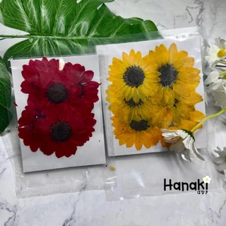 【พร้อมส่ง】ดอกทานตะวันทับแห้ง6ดอก มี2สี ดอกไม้จริงทับแห้ง ดอกไม้ทับแห้ง Pressed Flowers💐