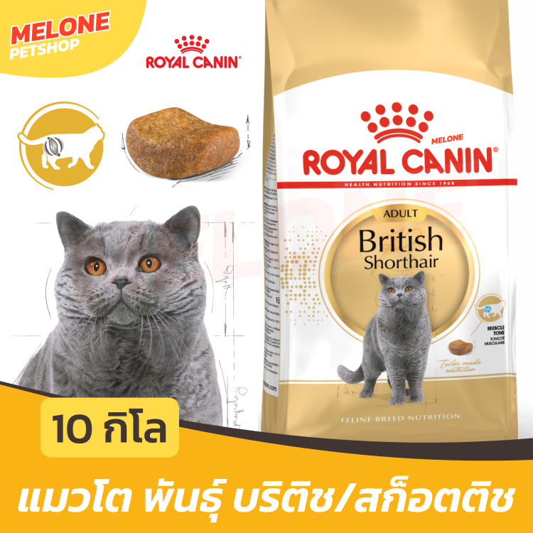 [กระสอบ] Royal Canin British Shorthair Adult อาหารแมว พันธุ์บริติช ชอร์ตแฮร์ แมวโต อายุ 12 เดือน ขึ้นไป 10kg