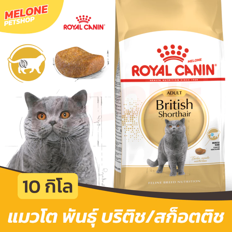 [กระสอบ] Royal Canin British Shorthair Adult อาหารแมว พันธุ์บริติช ชอร์ตแฮร์ แมวโต อายุ 12 เดือน ขึ้นไป 10kg