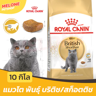[กระสอบ] Royal Canin British Shorthair Adult อาหารแมว พันธุ์บริติช ชอร์ตแฮร์ แมวโต อายุ 12 เดือน ขึ้นไป 10kg