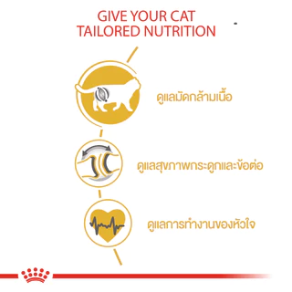 [กระสอบ] Royal Canin British Shorthair Adult อาหารแมว พันธุ์บริติช ชอร์ตแฮร์ แมวโต อายุ 12 เดือน ขึ้นไป 10kg