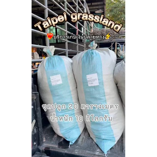หญ้าไทเป 10 กก. ปลูกได้ประมาณ 20 ตร.ม. หญ้าสนามใบละเอียด หญ้าจัดสวน เขียวแน่น ดูแลง่าย