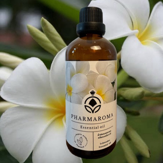 LeelavadeeFragranceOil น้ำมันหอมกลิ่นดอกลีลาวดี ใช้ทำสปา และใช้กับเครื่องพ่นอโรม่าได้