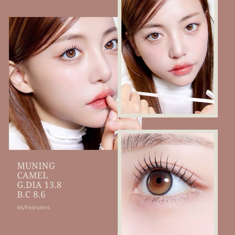 MYFiPN รุ่น muning สี camel คอนแทคเลนส์เกาหลีรายเดือน